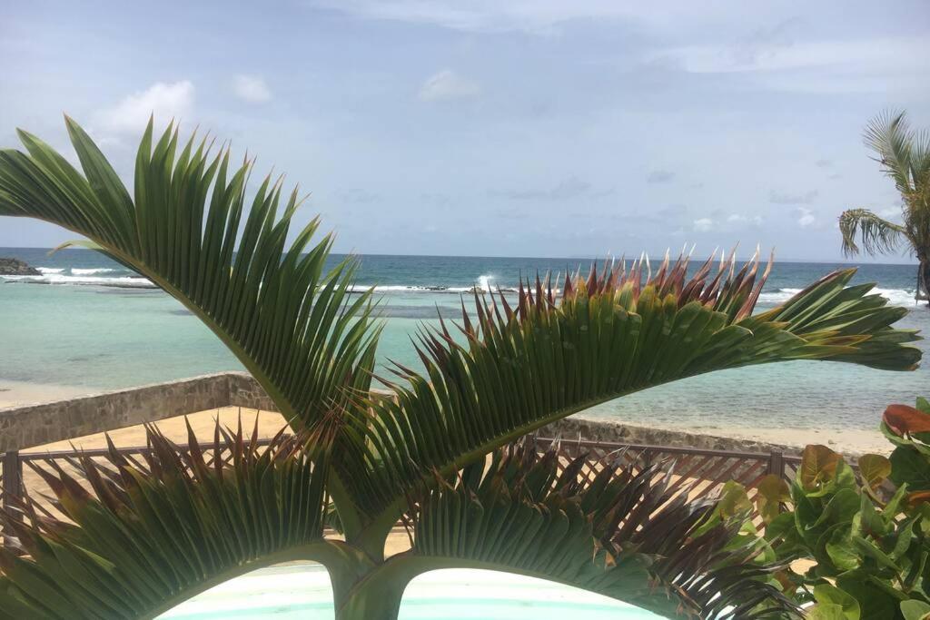Superbe Studio Superieur Neuf Avec Balcon Saint-Francois (Grande-Terre) Exteriör bild